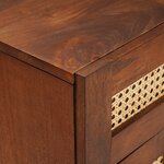 vidaXL Tables de chevet Marron Rotin et bois de mango massif