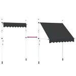 vidaXL Auvent manuel rétractable 200 cm Anthracite