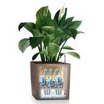 LECHUZA Jardinière CUBE 30 ALL-IN-ONE Charbon métallique