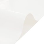 vidaXL Bâche blanc 3x5 m 650 g/m²