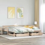 vidaXL Lit de jour avec gigogne et tiroirs sans matelas 90x190 cm