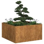 vidaXL Jardinière rouillé 80x80x40 cm acier inoxydable