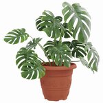 vidaXL Pot à fleurs rond 6 Pièces Rouge brique Ø 26 x 21 5 cm Plastique