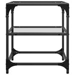 vidaXL Tables basses avec dessus en verre transparent 2 Pièces acier