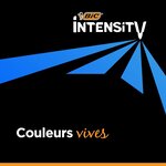 Etui de 24 Crayons de Couleur Triangulaire Intensity Assortis BIC