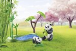 PLAYMOBIL 71762 - Specials Jardin asiatique avec deux personnages et pandas