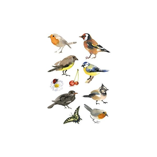 HERMA sticker DECOR "oiseaux aquarelle"