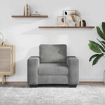 vidaXL Fauteuil Gris clair 60 cm Velours