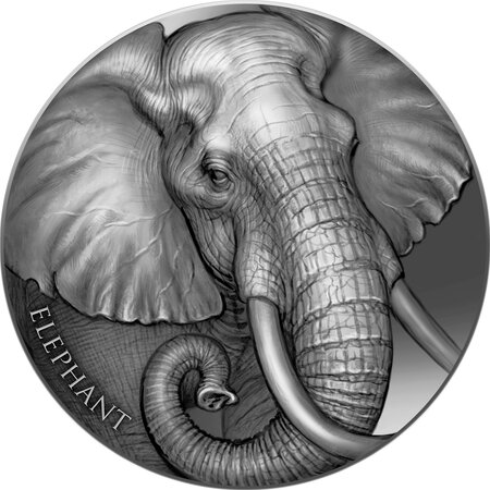 ELEPHANT Expressions of Wildlife 2 Once Argent Coin 2000 Francs Cameroon 2023