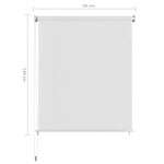 vidaXL Store roulant d'extérieur Blanc 60x140 cm PEHD