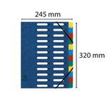 Trieur Harmonika® À Fenêtres Avec Élastiques Véritable Carte Lustrée 24 Compartiments - Bleu - X 4 - Exacompta