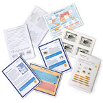 Ouvrage scolaire - Les timbrés de... Sciences - L'ours