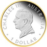 Pièce de monnaie en Argent 1 Dollar g 31.1 (1 oz) Millésime 2026 AUSTRALIAN NUGGET
