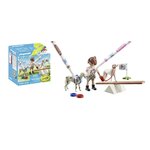 71517 Color - Educatrice avec chiens