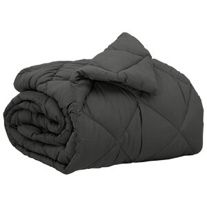 vidaXL Duvet complet toute l'année Anthracite 220 x 155 cm Microfibre