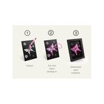 Kidyneon - Kit decoration murale lumineuse contes - Kidywolf