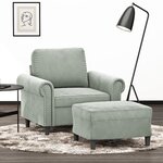 vidaXL Fauteuil avec repose-pied Gris clair 60 cm Velours