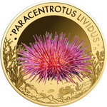 Monnaie PURPLE SEA URCHIN Sea Creatures 1/1000 Oz Or 3000 Francs Chad