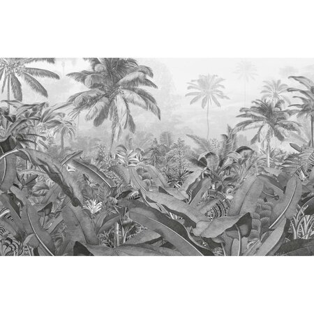 Komar Papier peint photo  ia Noir et blanc 400x250 cm