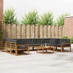 vidaXL Ensemble de canapés d'extérieur 10 Pièces Naturel et Anthracite