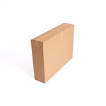 Pack 20 Cartons Standards + 1 Adhésif