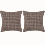 Vidaxl jeu de coussin 2 pièces velours 60 x 60 cm marron