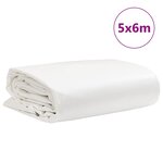 vidaXL Bâche blanc 5x6 m 650 g/m²