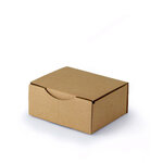 Lot de 25 Boîtes postales d’expédition carton 250x200x100. Coloris Marron