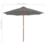 vidaXL Parasol d'extérieur avec mât en bois 300 cm Anthracite