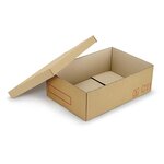 Caisse carton brune simple cannelure raja 25x10x10 cm (lot de 25)