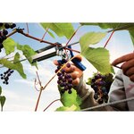 RAPID Agrafes vigne en aluminium C50 - 40107758