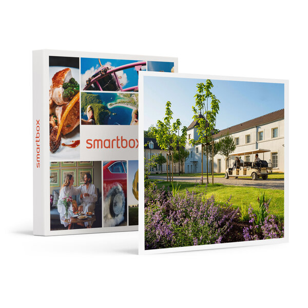 SMARTBOX - Coffret Cadeau 2 jours en hôtel 4* avec accès au spa Sothys à Chantilly -  Séjour