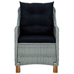 vidaXL Chaises de jardin avec coussins lot de 2 Résine tressée
