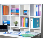Protège-documents En Polypropylène Souple Opak 100 Vues - A4 - Couleurs Assorties - X 12 - Exacompta