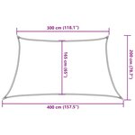 vidaXL Voile d'ombrage 160 g/m² Noir 3/4x2 m PEHD