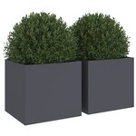vidaXL Jardinières 2 Pièces anthracite 32x30x29 cm acier laminé à froid