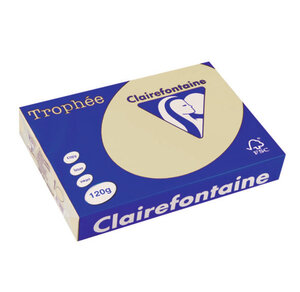 Ramette 250 Feuilles Papier 120g A4 210x297 mm CHAMOIS CLAIREFONTAINE