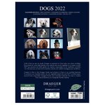 Calendrier 2022 sur socle - chiens - draeger paris