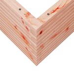 vidaXL Jardinière 50x50x45 5 cm bois massif de douglas