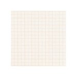 Bloc à papier millimétré DIN A4 25 feuilles 80g Ligne Rouge LANDRÉ