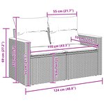 Ensemble de Canapé de Jardin de 13 Pièces avec Coussins Beige Rattan Poly Acacia