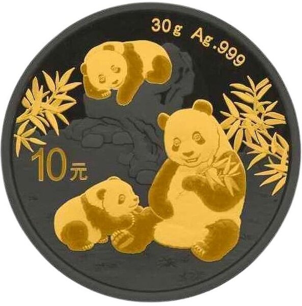 Pièce de monnaie en Argent 10 Yuan g 30 Millésime 2025 PANDA