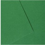 Paquet de 10 feuilles Mi-Teintes CANSON 50 x 65 cm 160 g coloris vert billard