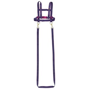 Coppenrath Verlag 14389 - Laisse de cheval Les Amis des Chevaux