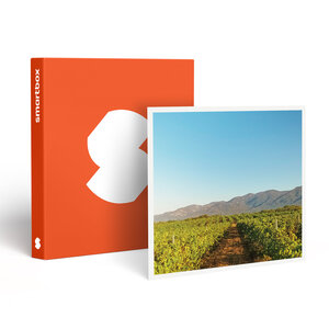 SMARTBOX - Coffret Cadeau Visite d’un domaine viticole près de Perpignan avec dégustation et 6 bouteilles offertes -  Gastronomie