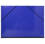 Carton à dessins avec élastiques IDERAMA - Raisin x 5 EXACOMPTA