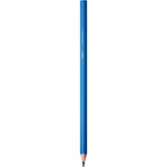 Etui de 24 Crayons de Couleur Triangulaire Intensity Assortis BIC