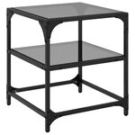 vidaXL Tables basses avec dessus en verre noir 2 Pièces 40x40x45 cm acier
