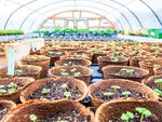 Visite de ferme urbaine et atelier de jardinage écologique - smartbox - coffret cadeau sport & aventure