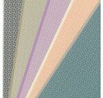 Pochette papier 28x38cm 5 feuilles rome